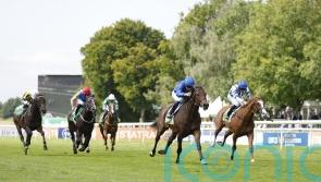 Palmer has big plans for juvenile pair