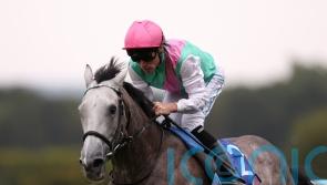 Field Of Gold camp considering next move for &lsquo;exciting colt&rsquo;