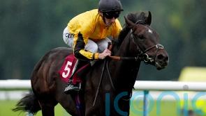 Luther never too much for Fellowes at Haydock