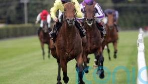 Oxx still proud to be on Irish Champion Stakes roll of honour