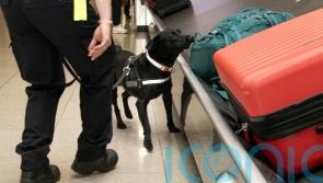 Almost 170m euro in drugs seized by Revenue this year