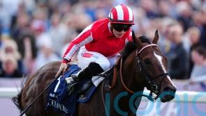 Bradsell bidding for Flying Five triumph