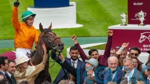 Look De Vega seeks to prove Arc aptitude in Prix Niel