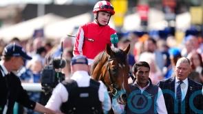 Bay City Roller rocks in Champagne Stakes