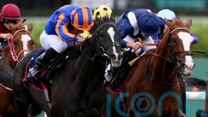 &lsquo;Proper warrior&rsquo; Economics passes big test with Irish Champion Stakes glory