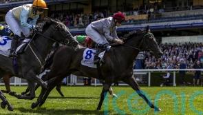 Immediate plans still to be decided for Simmering