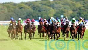 Portland hero Affair hunting Gold again at Ayr