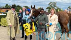 Emotional success for Not So Sleepy on likely farewell