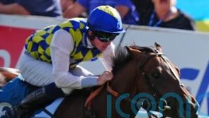 John Ryan considering Abbaye tilt for La Bellota
