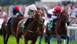 Clover backing Al Nayyir to bloom in Rose Bowl