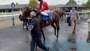 Formal seeking final Rockfel success for Stoute