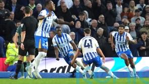 Brighton fight back from two goals down to beat Tottenham in Amex thriller