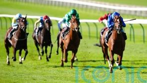 Shadow Of Light supplemented for Dewhurst date