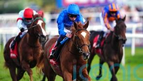 Exciting fillies primed for top-class showdown at Newmarket