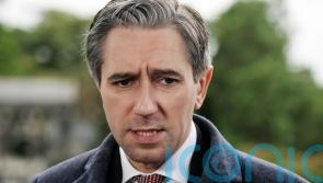 Harris condemns Fine Gael councillor&rsquo;s remarks