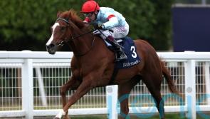 Sangster hoping Flight can take off in Oh So Sharp