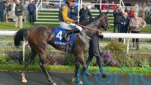 Jonny Bairstow bowled over by Jungle Drums bravery
