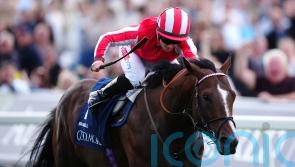 Bradsell to sign off after Breeders&rsquo; Cup bid