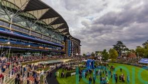 Ascot to use inner track on British Champions Day