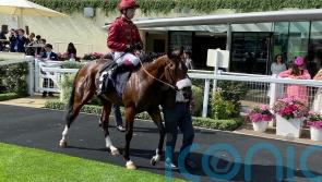 Century seeking to break New ground for Balding