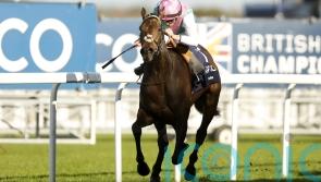 Kalpana stamps her class on Ascot field