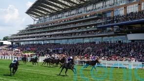 Murray delighted to have Valiant Force back on track