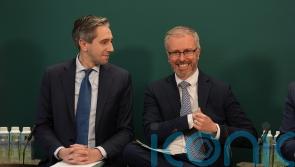 Green leader &lsquo;entitled to opinion&rsquo; but no pressure for November poll &ndash; Taoiseach