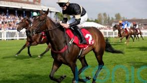 Prolific Alfa Kellenic embarks on deserved winter break