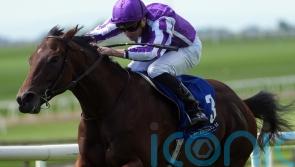 Delacroix to mount Futurity challenge for O&rsquo;Brien