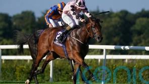 Jessica Harrington hoping it will be Hotazhell at Doncaster