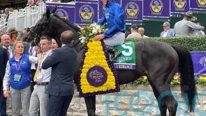 &lsquo;He&rsquo;s a big player&rsquo; &ndash; Appleby looking forward to Rebel&rsquo;s Romance