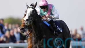 Derby prospect Nightwalker moving yards with Stoute retirement