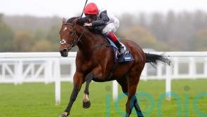 Regally-bred newcomers put Friday focus on Doncaster