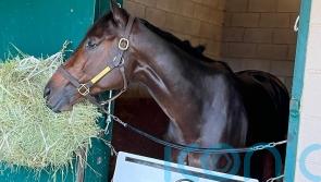 Pletcher backing Fierceness to topple Troy in Classic clash