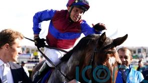 O&rsquo;Brien looks to Hong Kong with Jan Brueghel following Melbourne disappointment