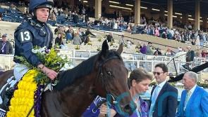 Henri Matisse masters Juvenile Turf challenge