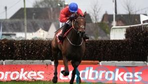 Envoi Allen back in Grade One winner&rsquo;s enclosure