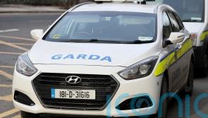 Pedestrian dies after being struck by car in Co Cork