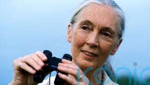 Leading environmentalist hails Irish coffee company for sustainability projects