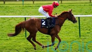 Nicol backing Wise Eagle to soar in November Handicap