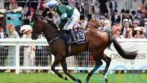 Thunderbear heading for Wentworth challenge at Doncaster