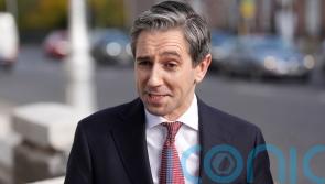 &lsquo;Ambition&rsquo; for November 29 election, Taoiseach&rsquo;s spokesman says