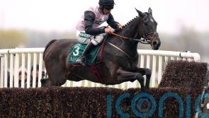 Elliott confident of getting Gerri Colombe back on track