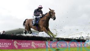 Smart mare Gale Mahler back at Cheltenham next week