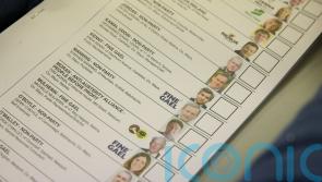 FactCheck: How does Ireland&rsquo;s voting system work?