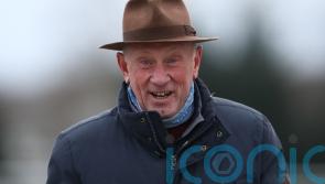 Nells Son capitalises on Kalif Du Berlais mishap at Carlisle