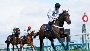 Henderson happy with assurances Newcastle ground will be &lsquo;fine&rsquo; for Constitution Hill