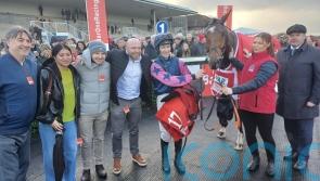 Stuzzikini makes it magnificent seven Troytown triumphs for Elliott