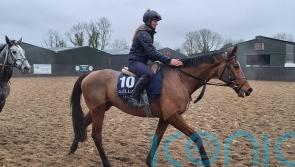 Staying star Teahupoo preparing for Hatton&rsquo;s Grace defence