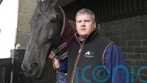 Elliott determined to take Drinmore crown back to Cullentra again